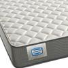 Archmore Firm Mattress Set (King) image 4