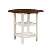 Round Kiwi Counter Height Dining Table (5162WW-36) image 1