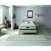 DayDream Firm Mattress Set (Twin) image 4