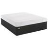 Conform Performance Firm Mattress Set (California King) image 1