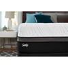 Conform Premium Plush Mattress Set (Full) image 5