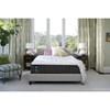 Satisfied Plush Tight Top Mattress (Twin) image 9