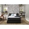 Exuberent Plush Tight Top Mattress Set (Queen) image 7