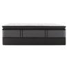 Exuberent Plush Euro Pillow Top Mattress (King) image 4