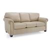 Stationary Sofa (3003-S Sofa) image 1