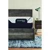 CF3000 Plush Mattress (California King) image 15