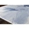 Platinum 3921/15 60110 Rug (2'0