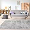 Harmony C877/9254 160230 Rug (5'3