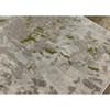 Harmony C877/9254 160230 Rug (5'3