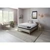 Irving Plush Tight Top Mattress (King) image 1