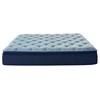 Grandmere Plush Pillow Top Mattress (Twin) image 2