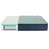 Grandmere Plush Pillow Top Mattress (Twin) image 3