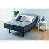 Grandmere Plush Pillow Top Mattress (Twin) image 8