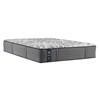 Determination II Firm Mattress Set (Twin XL) image 2