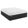 High Spirits Firm Mattress Set (Queen) image 1