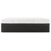 High Spirits Firm Mattress Set (Queen) image 2