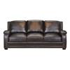 Stationary Leather Sofa (8250-30 710) image 1