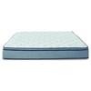 Armisted Plush Euro Top Mattress (Twin XL) image 2