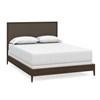 Modern Emilia Queen Panel Bed (2485-K153) image 1