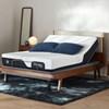 Limited Edition Plush Mattress (Twin XL) image 12