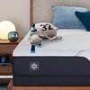 Limited Edition Plush Mattress (Twin XL) image 13