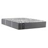 Testimony II Plush Tight Top Mattress (King) image 1