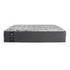 Testimony II Plush Tight Top Mattress (King) image 2