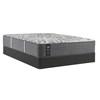 Testimony II Plush Tight Top Mattress (King) image 4