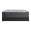 Testimony II Plush Tight Top Mattress (King) image 5