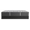 Testimony II Plush Tight Top Mattress (King) image 6