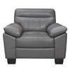 Denizen Stationary Leather Chair (9537DGY-1) image 1