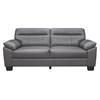 Denizen Stationary Leather Sofa (9537DGY-3) image 1