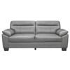 Denizen Stationary Leather Sofa (9537GRY-3) image 1