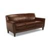 Digby Stationary Leather Sofa (3966-31-137-70) image 1
