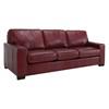 Alessandra Connections Stationary Leather Sofa (Alessandra Connections 3A3-01 Sofa) image 1