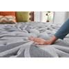 Determination II Ultra Firm Mattress (Queen) image 14