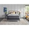 Determination II Plush Pillow Top Mattress (Twin XL) image 12