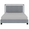 Lumina King Upholstered Platform Bed (101-088K-GY) image 4