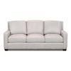 Stationary Leather Sofa (6350-30) image 1