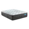 Maui Plush Pillow Top Mattress (Queen) image 1
