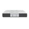 Cayman Plush Mattress (Queen) image 2