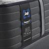 Exuberant II Firm Tight Top Mattress (California King) image 3
