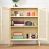 Crea 13077 Metal Mesh 2-Door Accent Cabinet - Yellow image 4