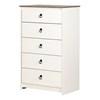 Plenny 5-Drawer Chest (12234) image 1