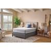 Lacey Soft Hybrid Mattress (King) image 11