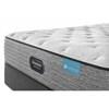 Matelas Carbon High Tide moelleux et sommier pour grand lit image 4