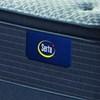 Wanderlust Plush Pillow Top Mattress Set (Queen) image 3