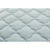 Wanderlust Plush Pillow Top Mattress Set (Queen) image 4