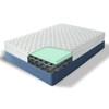 Lehmann Firm Euro Top Mattress Set (Queen) image 2