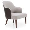 Stationary Fabric Accent Chair (011-2328C) image 1